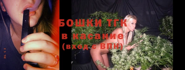 ECSTASY Дмитриев