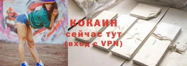 ECSTASY Дмитриев