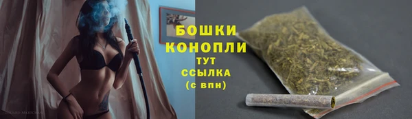 ECSTASY Дмитриев